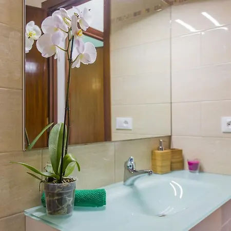 Amedeo Apartment